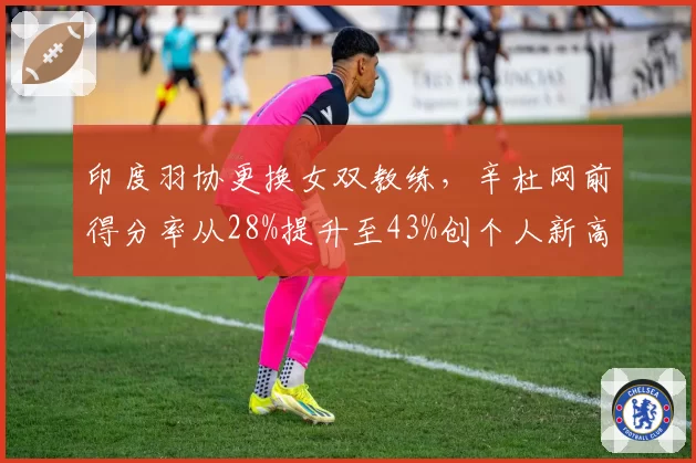 印度羽协更换女双教练,辛杜网前得分率从28%提升至43%创个人新高
