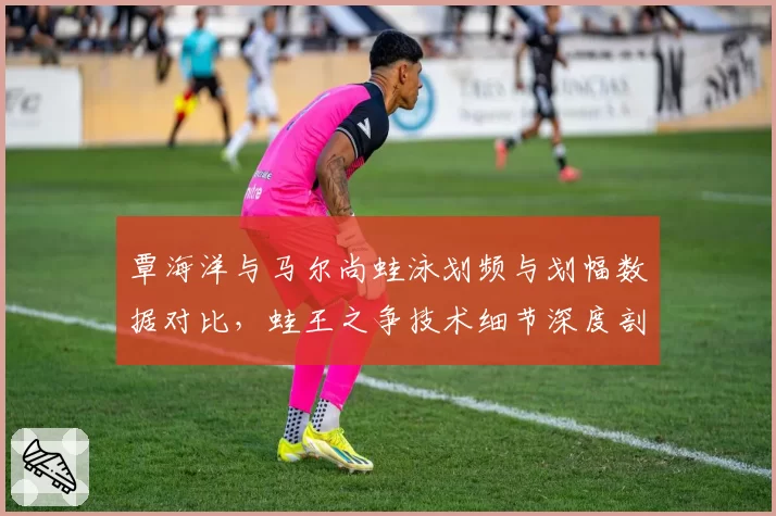 覃海洋与马尔尚蛙泳划频与划幅数据对比,蛙王之争技术细节深度剖析